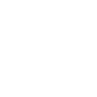 Gráfico ilustrativo de servicios