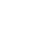 Logo Chrome