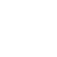 Backup - Telsur