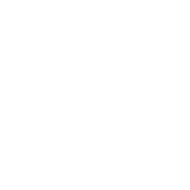 Backup - Telsur